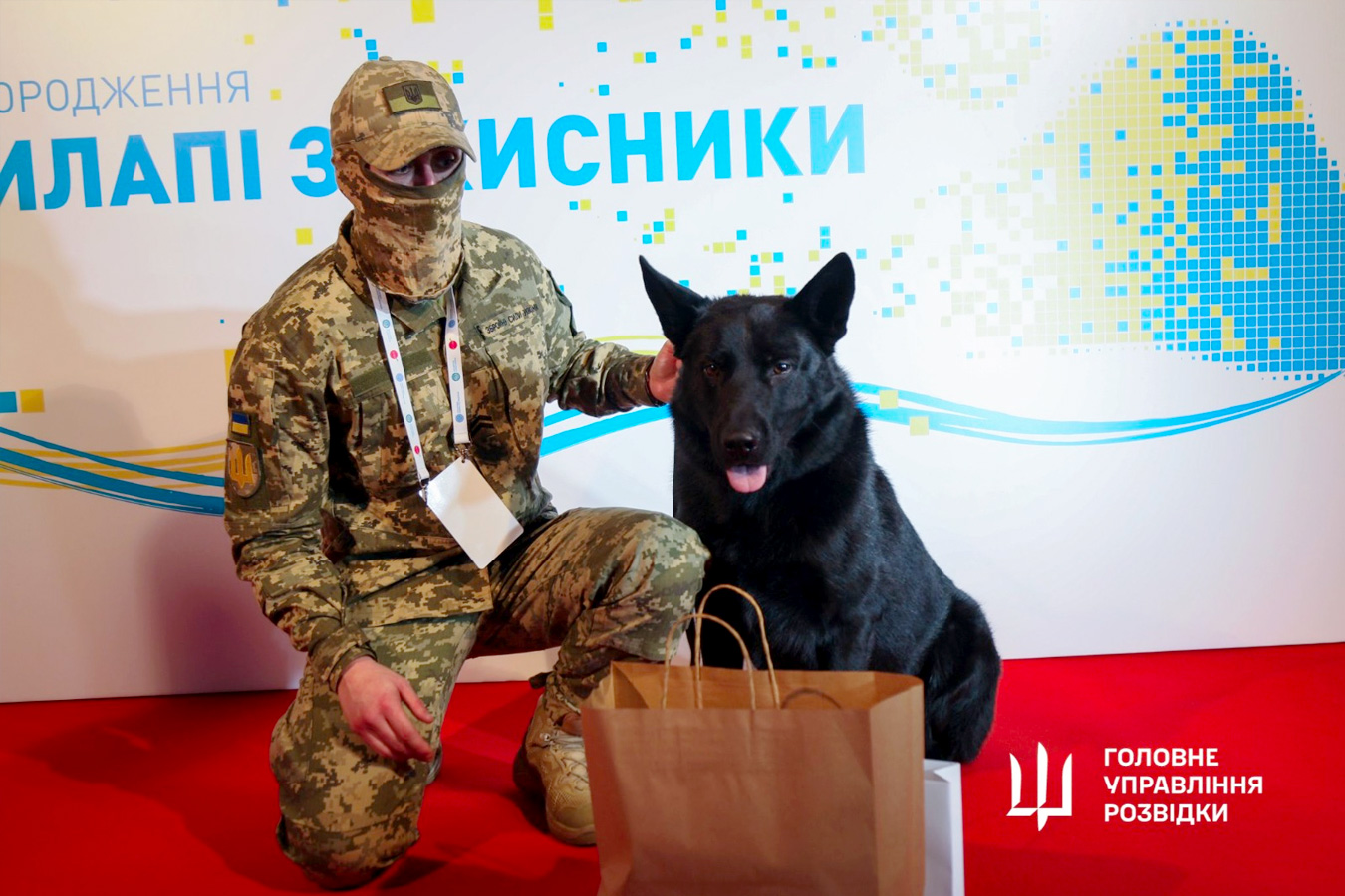 Scout dog Storm was awarded the honor of the Kennel Club of Ukraine