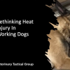 Rethinking Heat Injury in Working Dogs 2025